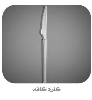 قاشق و چنگال یکبار مصرف
