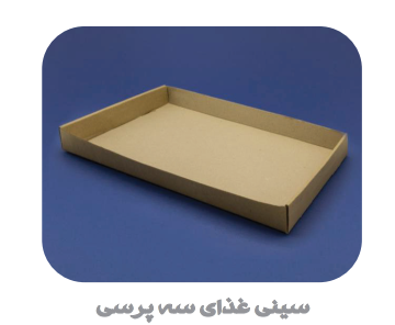 سینی سرو غذا