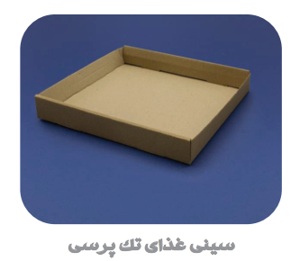 سینی سرو غذا