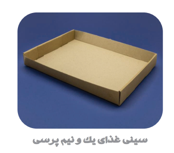 سینی سرو غذا